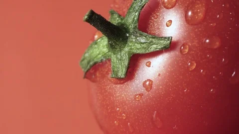 Red cherry tomato with green tail, spray water goes down, copy space Stock Footage 102570857