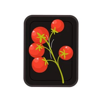 Red cherry tomato sprig in rectangular plastic tray, top view 스톡 일러스트