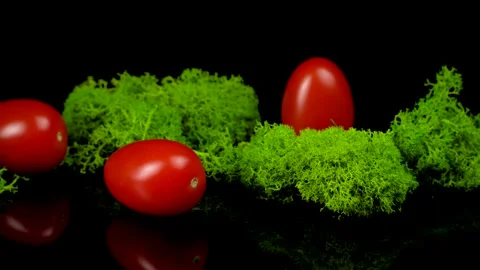 Red cherry tomatoes and green moss on a black background Video stock 159402413