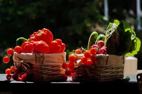 Red cherry tomatoes and vegetables in basket with backlit sun Stock Photos