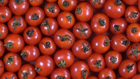 Red cherry tomatoes background, closeup tomato, rotation, top view. Macro tomato Stock Footage 95857856