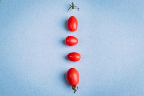 Red cherry tomatoes on a blue surface Stock Photos