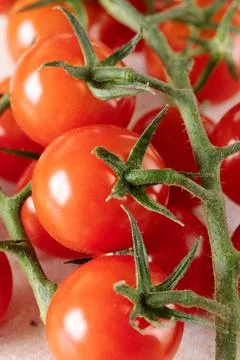 Red cherry tomatoes on a branch Stock Photos
