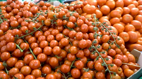 Red cherry tomatoes, close up, 4k top view. Stock Footage 99819025