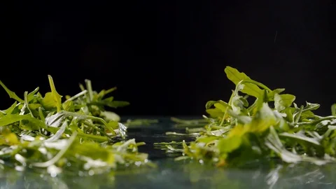 Red cherry tomatoes fall on wet surface among green arugula Stock Footage 127214895