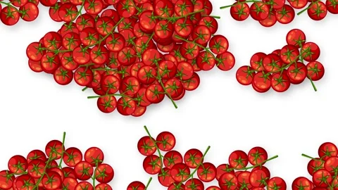 Red Cherry Tomatoes Falling Against a Clean White Background Stock Footage 339394242