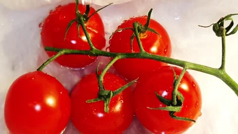 Red cherry tomatoes 動画素材 334139723
