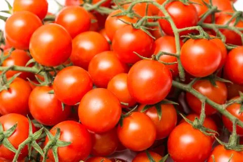 Red Cherry Tomatoes Stock Photos