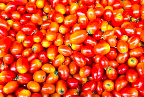 Red cherry tomatoes Stock Photos