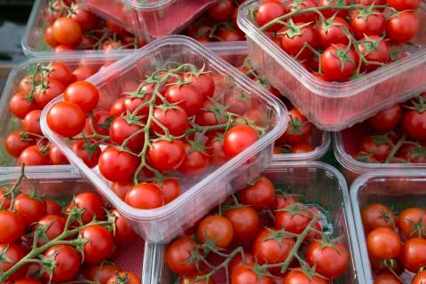 Red Cherry Tomatoes Stock Photos