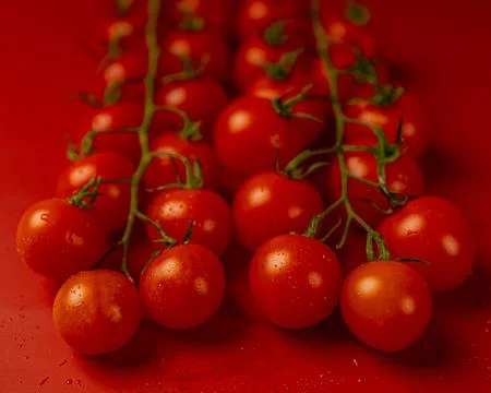 Red cherry tomatoes on red background. Still life food photography Stock Photos