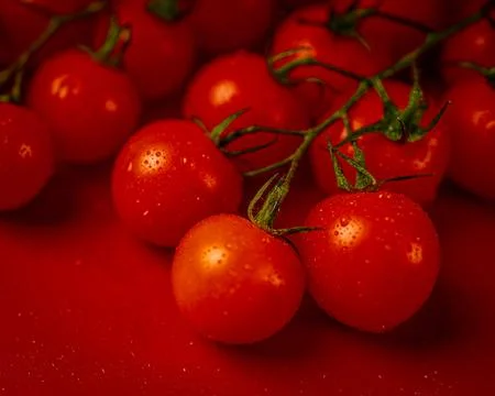 Red cherry tomatoes on red background. Still life food photography Stock Photos