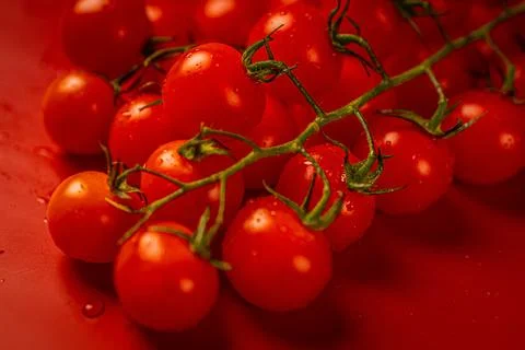 Red cherry tomatoes on red background. Still life food photography Stock Photos