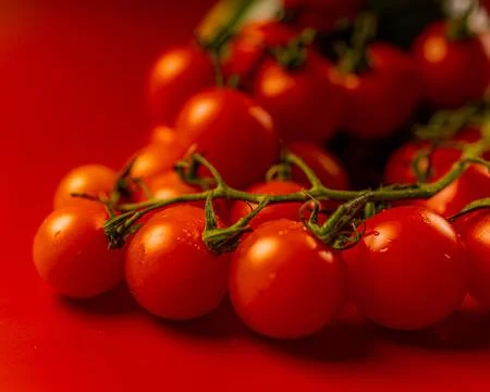 Red cherry tomatoes on red background. Still life food photography Stock Photos