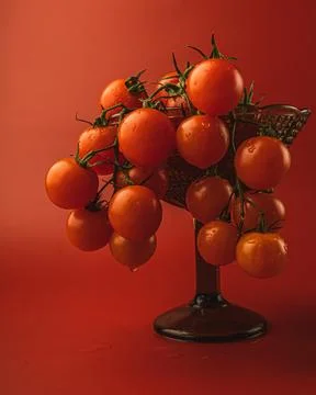 Red cherry tomatoes on red background. Still life food photography Stock Photos