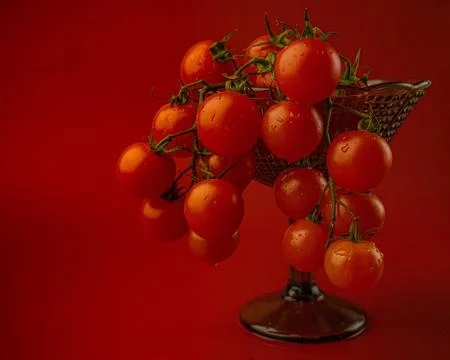 Red cherry tomatoes on red background. Still life food photography Stock Photos