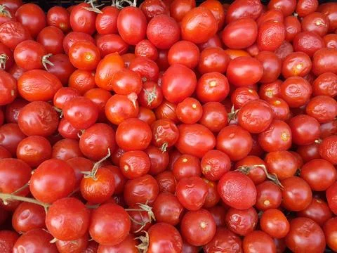 Red cherry tomatoes ripe vegetable food Stock Photos