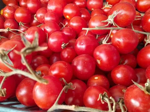 Red cherry tomatoes ripe vegetable food 库存照片