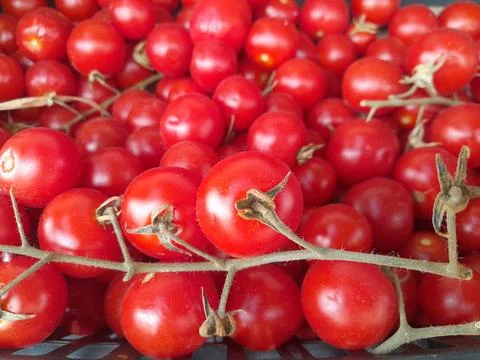 Red cherry tomatoes ripe vegetable food Stock Photos