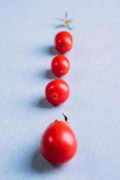 Red cherry tomatoes on the table Stock Photos
