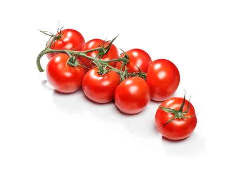 Red cherry tomatoes on a twig Stock Photos