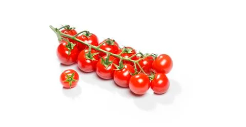 Red cherry tomatoes on a twig Stock Photos