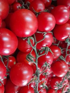 Red cherry tomatoes vegetable delicious food. Ripe Cherry tomato Stock Photos