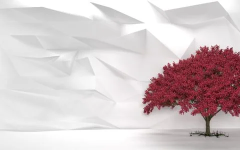 Red Cherry Tree With White Wall Backdrop - 4k HD 300 DPI Stock Photos