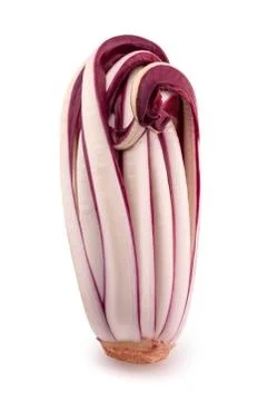 Red  chicory Stock Photos