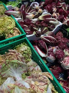 Red chicory Foto stock