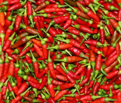 Red chili background Stock Photos