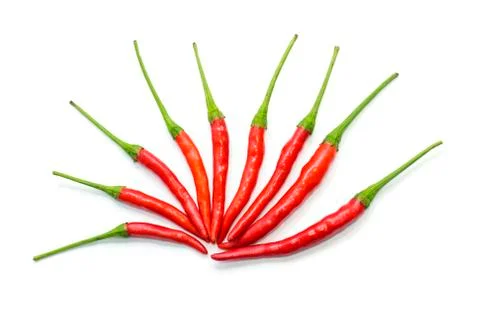 Red chili cayenne explode in circle line Stock Photos