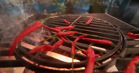 Red chili falling on rustic grill 스톡 동영상 311831795