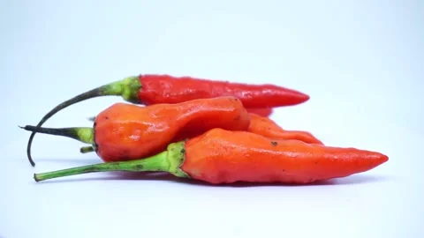 Red chili Stock Footage 219713104