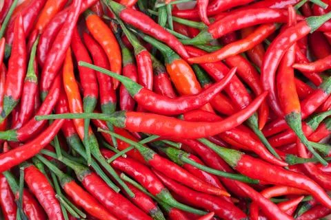 Red chili or chilli cayenne pepper Stock Photos