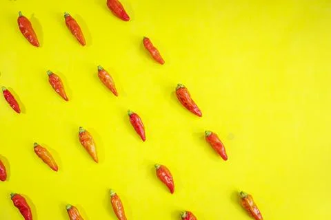 Red chili pattern on a yellow background. Top view. On flat lay. Chili Wallpa Stock Photos
