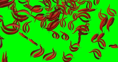 Red Chili Pepper falling Stock Footage 98767536