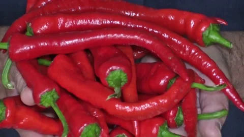 Red chili pepper in hands, closeup. Stock Footage 160102950