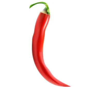 Red chili pepper Stock Illustration
