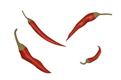Red chili pepper Stock Illustration