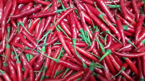 Red chili pepper isolated background video footage Stock Footage 314916948