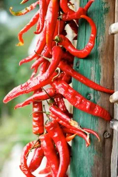 Red chili pepper Stock Photos