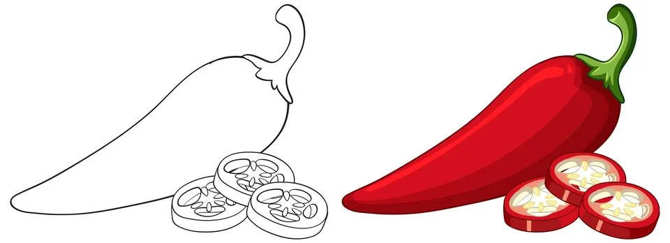 Red Chili Pepper Vector Illustration with Sliced Pieces and Line Art Stock Illustration