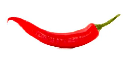 Red chili Foto stock