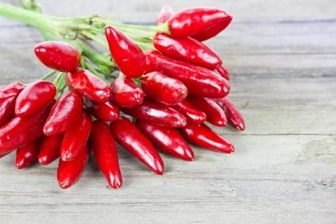 Red chili Stock Photos