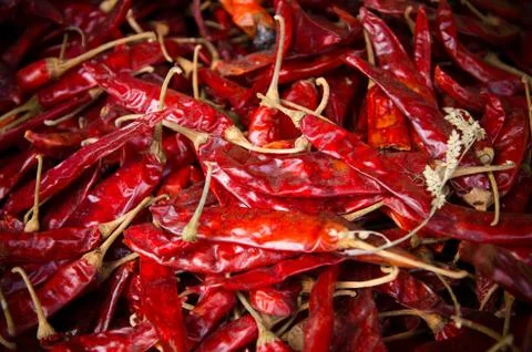 Red chili Stock Photos