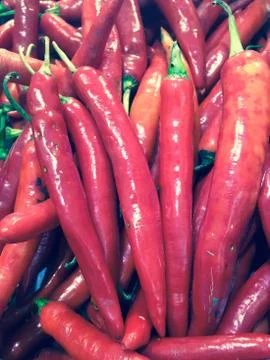 Red chili Foto stock