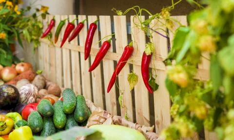 Red chili Stock Photos
