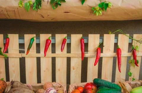 Red chili Stock Photos