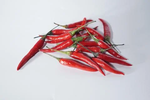 Red chili Foto stock